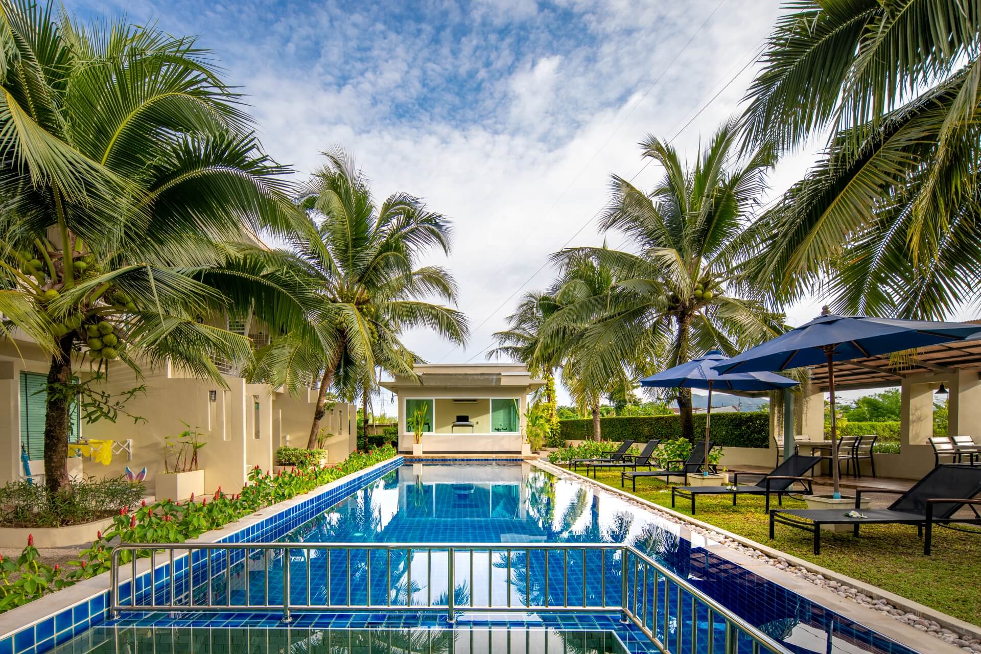 A swimming pool surround with coconut trees